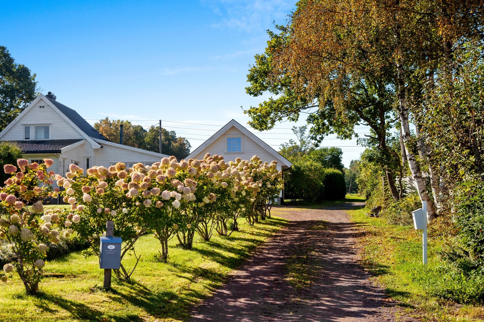 Langs en gruset innkjørsel har tomten blomster og høye trær. Galleribilde