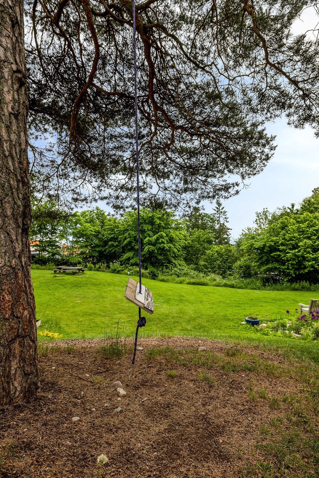 Fellesområdene byr på god boltreplass for både to- og firbente Galleribilde