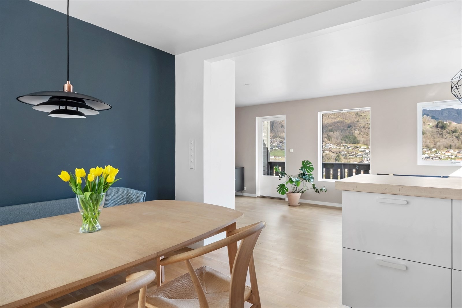 Frå kjøkkenet er det tilkomst til uteområde på baksida av bustaden. Galleribilde
