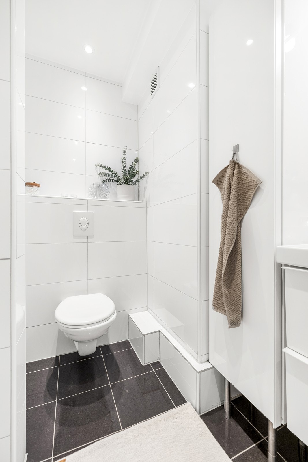 Veggmontert toalett. Galleribilde