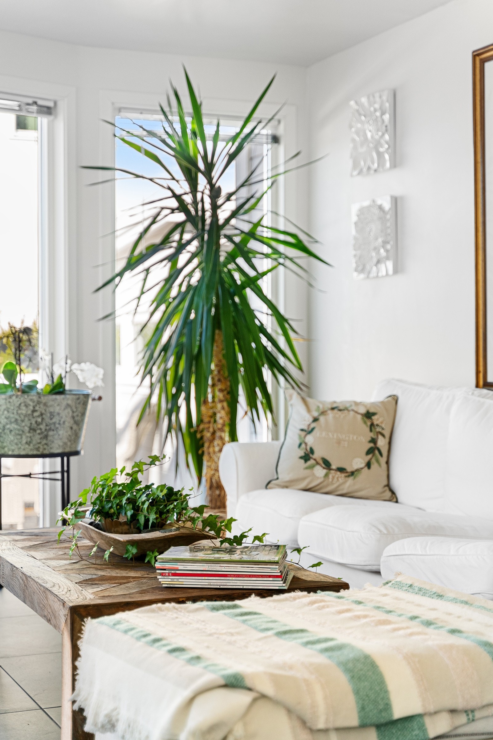 Vinterhage i 1. etasje Galleribilde