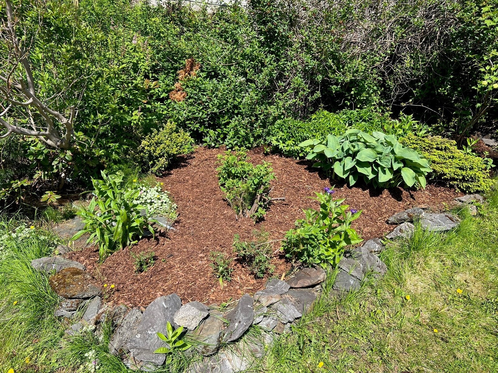 Selgers private bilde Galleribilde