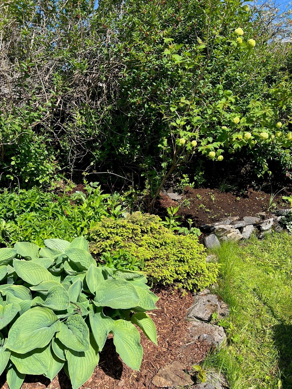 Selgers private bilde Galleribilde