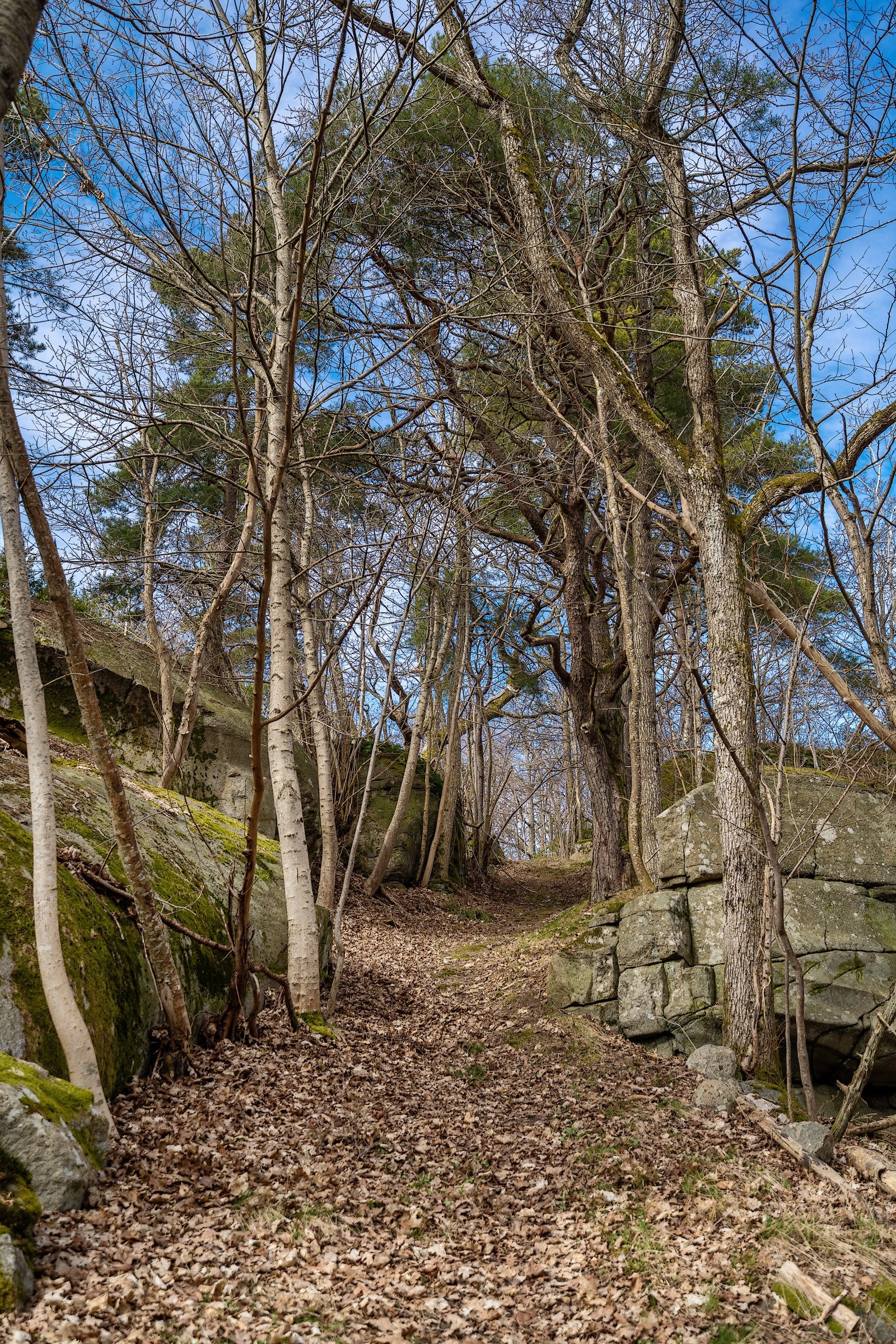 Sti videre mot Nebba badeplass og båtplass Galleribilde