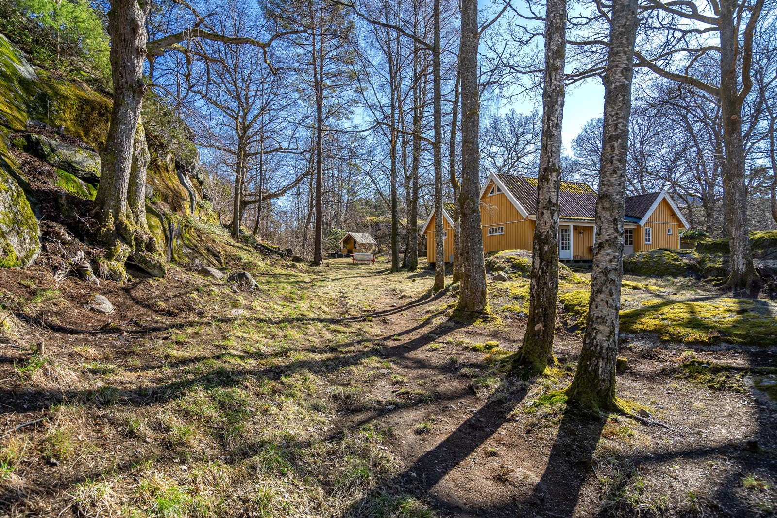 Eiendommen er bestående av naturtomt - perfekt for deg som er glad i natur og dyreliv! Galleribilde