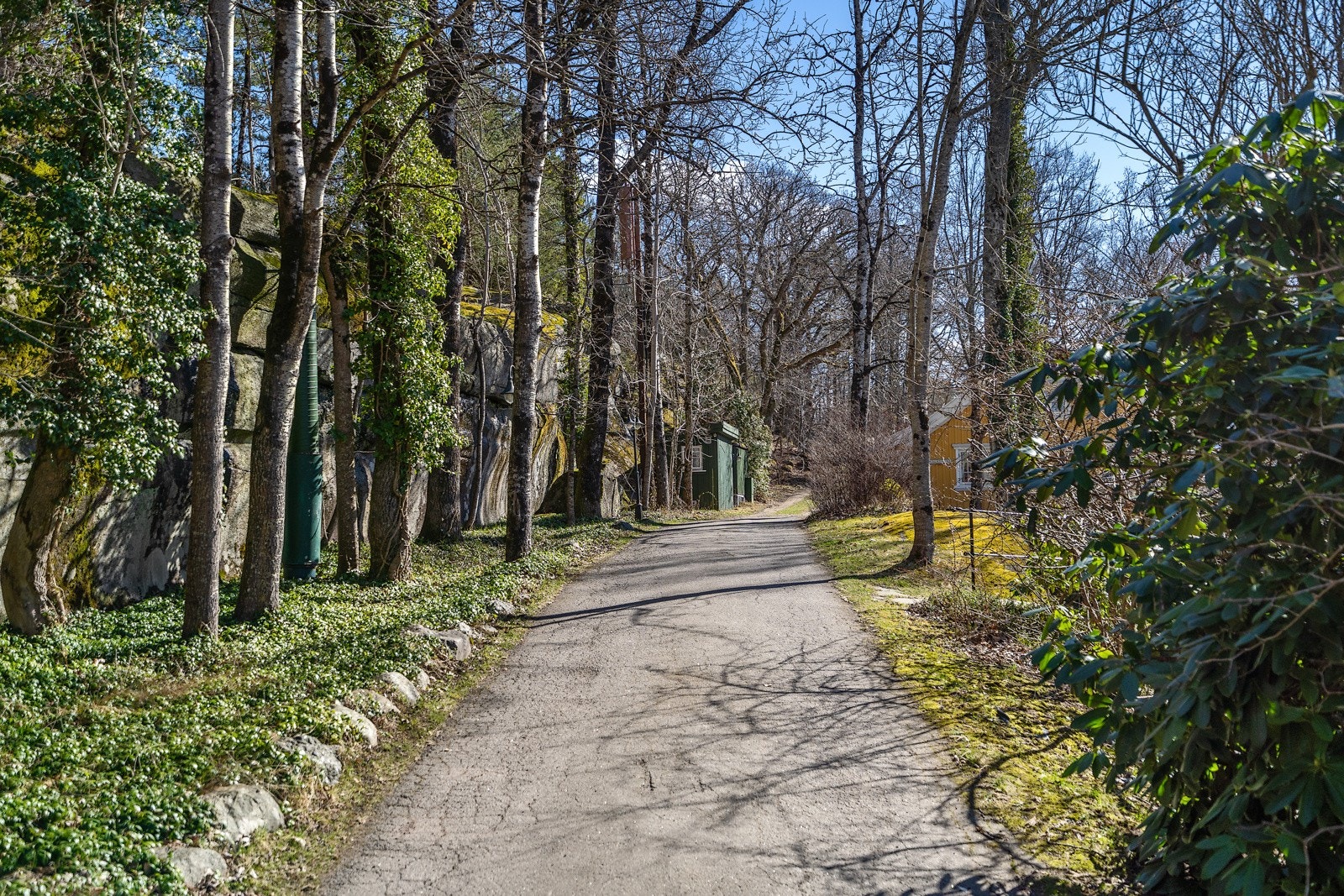 Fasjonabel adkomstvei til hytta via Engø Gård Galleribilde