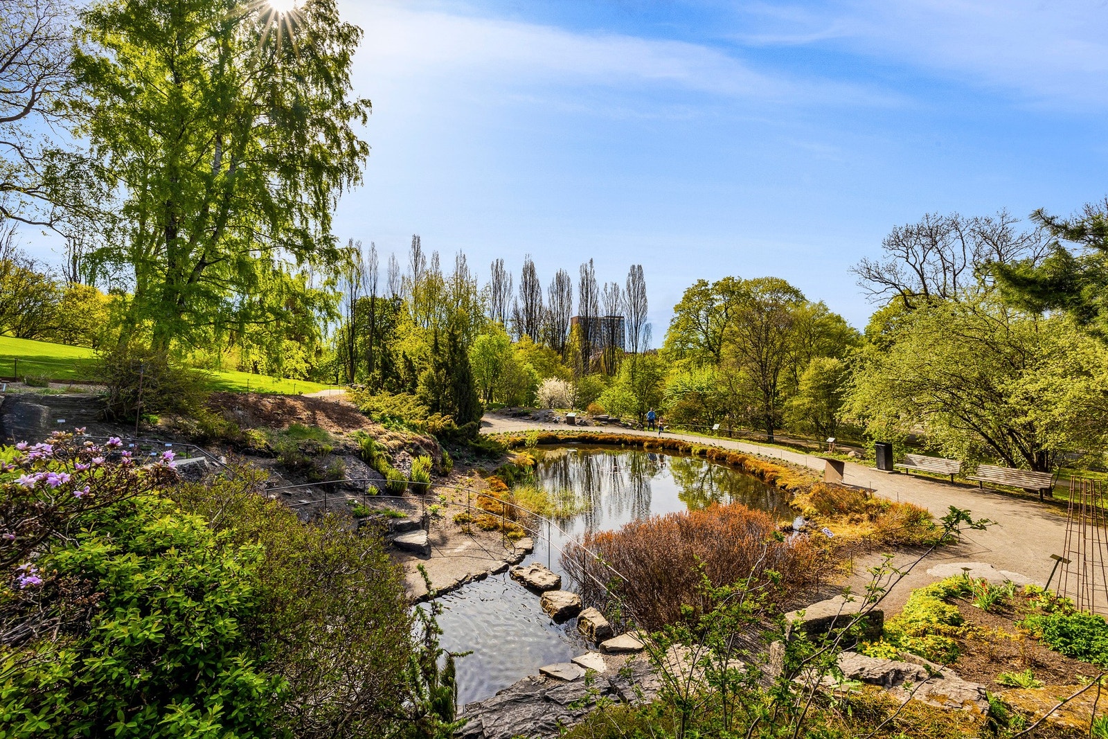 Botanisk hage er en populær destinasjon for søndagsturene i frodige omgivelser. Galleribilde