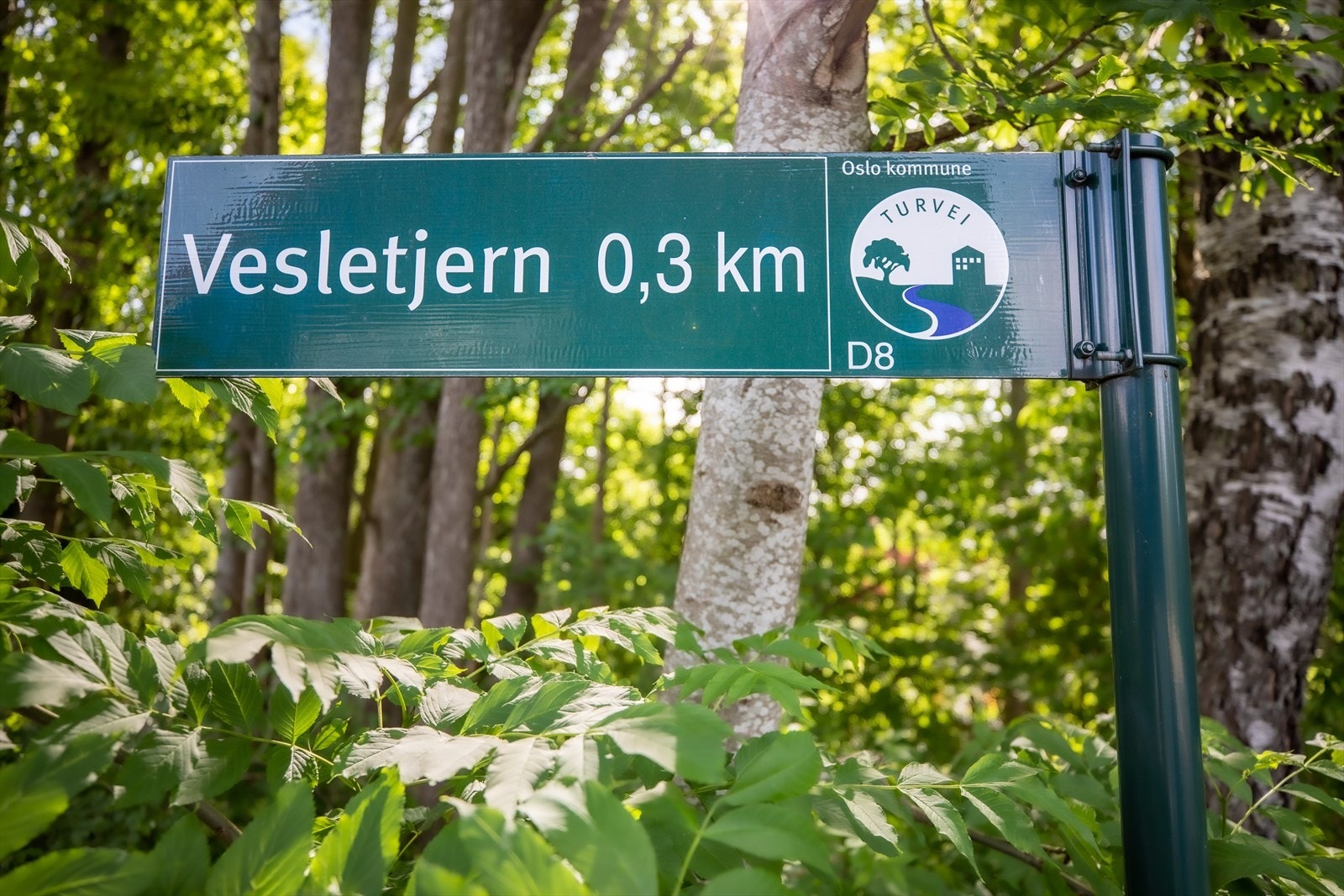 Kun 6 minutters kjøretur, og en liten spasertur kommer du til fantastiske Vesletjern! Galleribilde