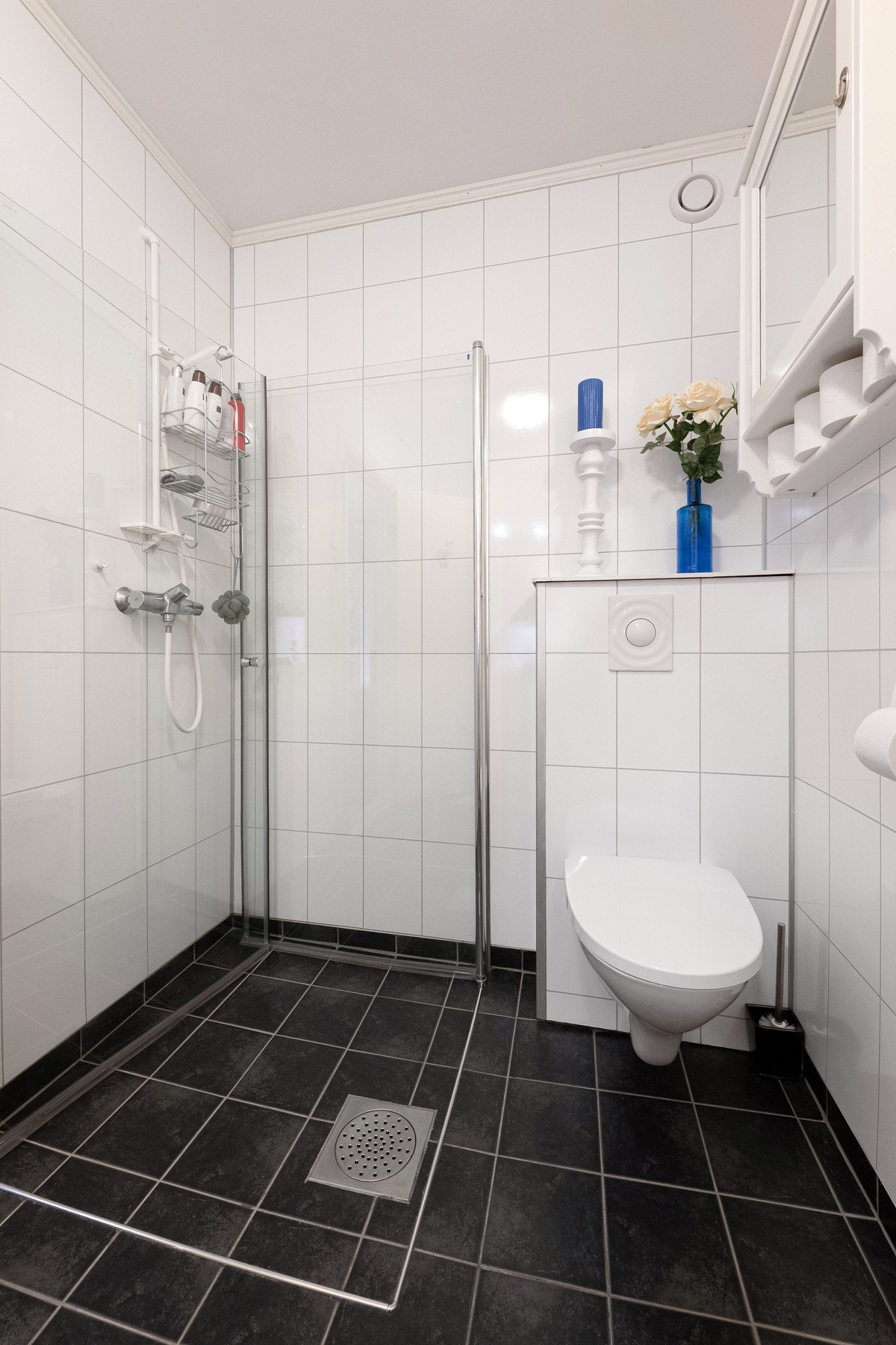 Vegghengt toalett. Galleribilde