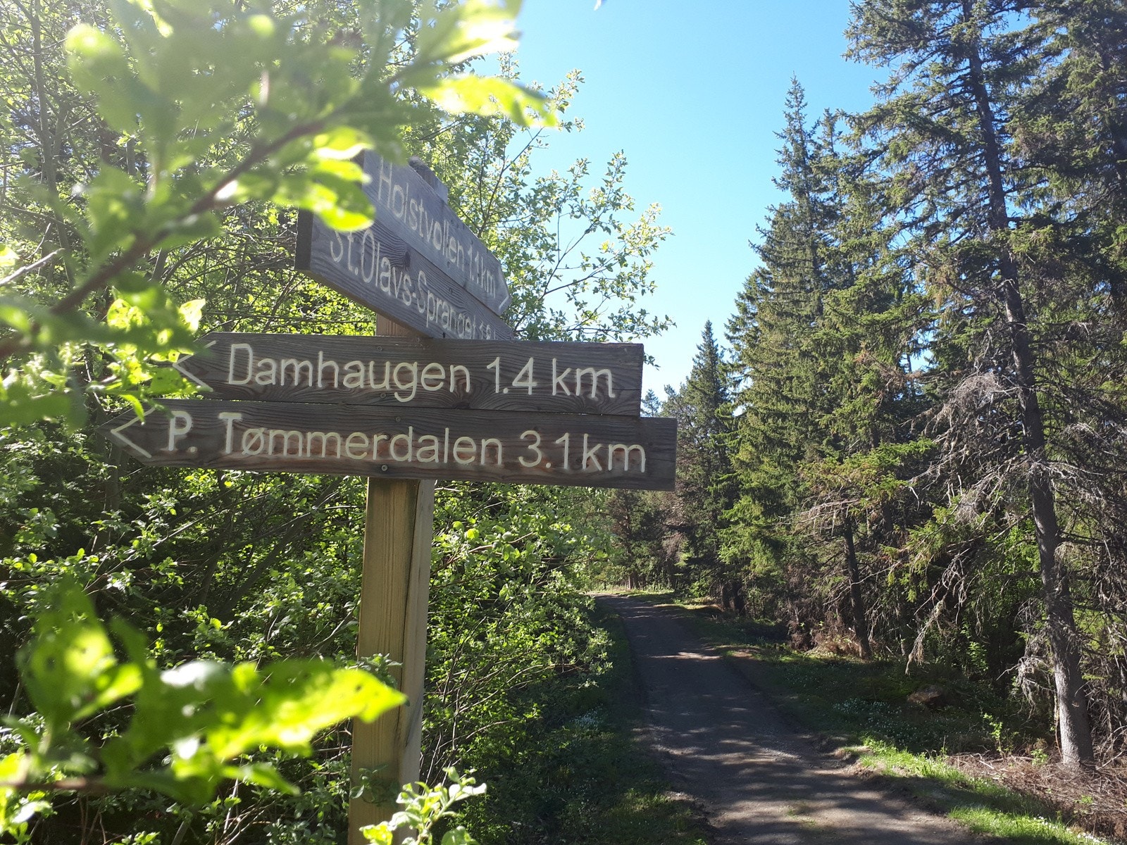 Ved barnehagen på Trollahaugen kan man ta seg rett ut i Trollamarka, som leder videre ut til løypenettet i Bymarka. Glimrende turmuligheter, hele året! Galleribilde