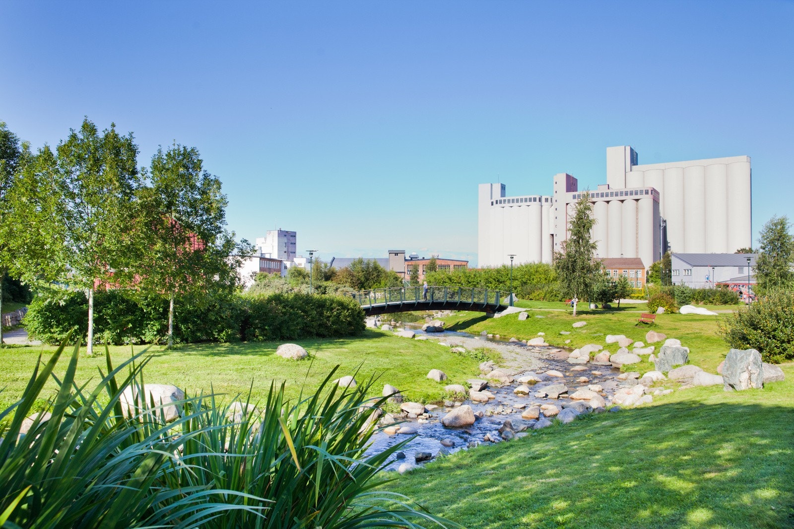 I Ila finner man flotte Iladalen som er spesielt vakker sommerstid. Galleribilde