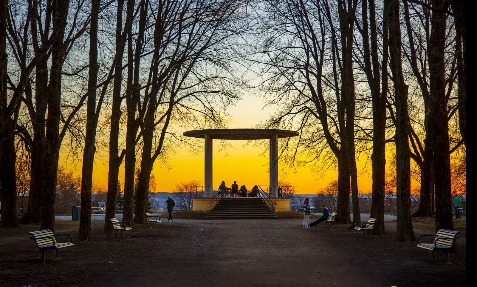 Områdebilde. Galleribilde