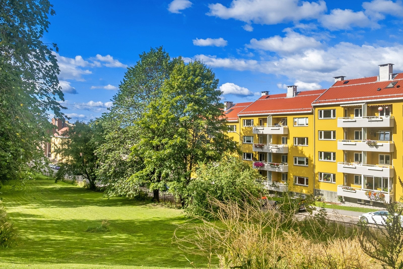 Fasade. Galleribilde