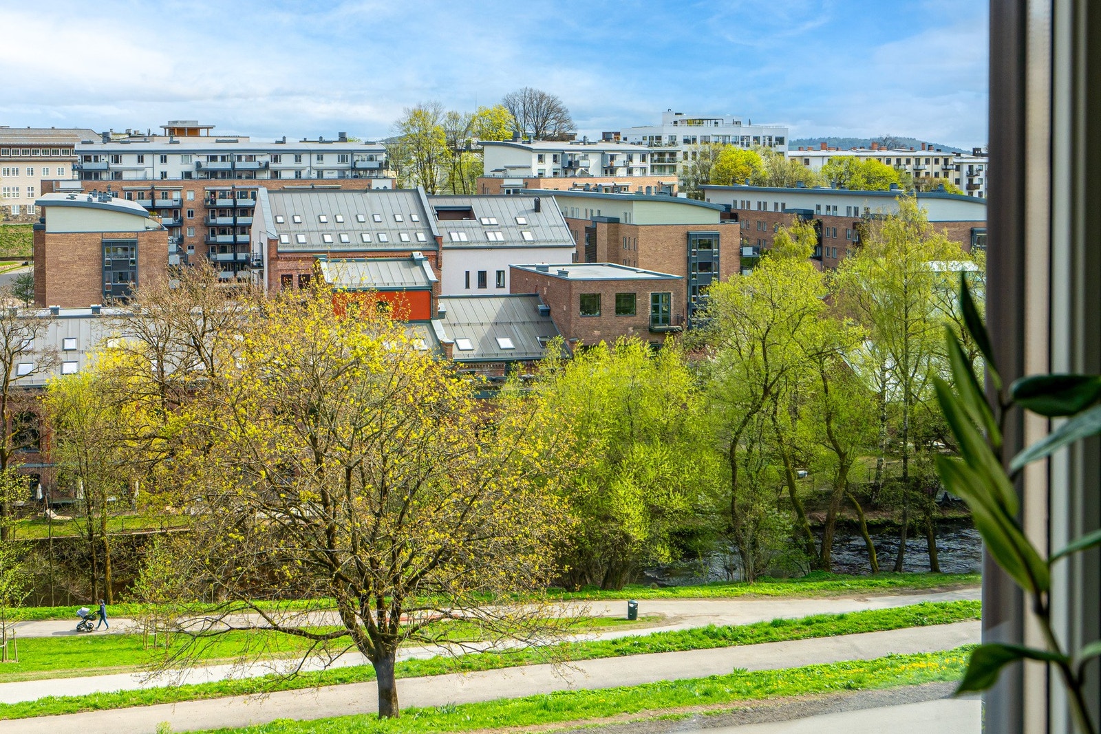 Grønt og frodig! Galleribilde