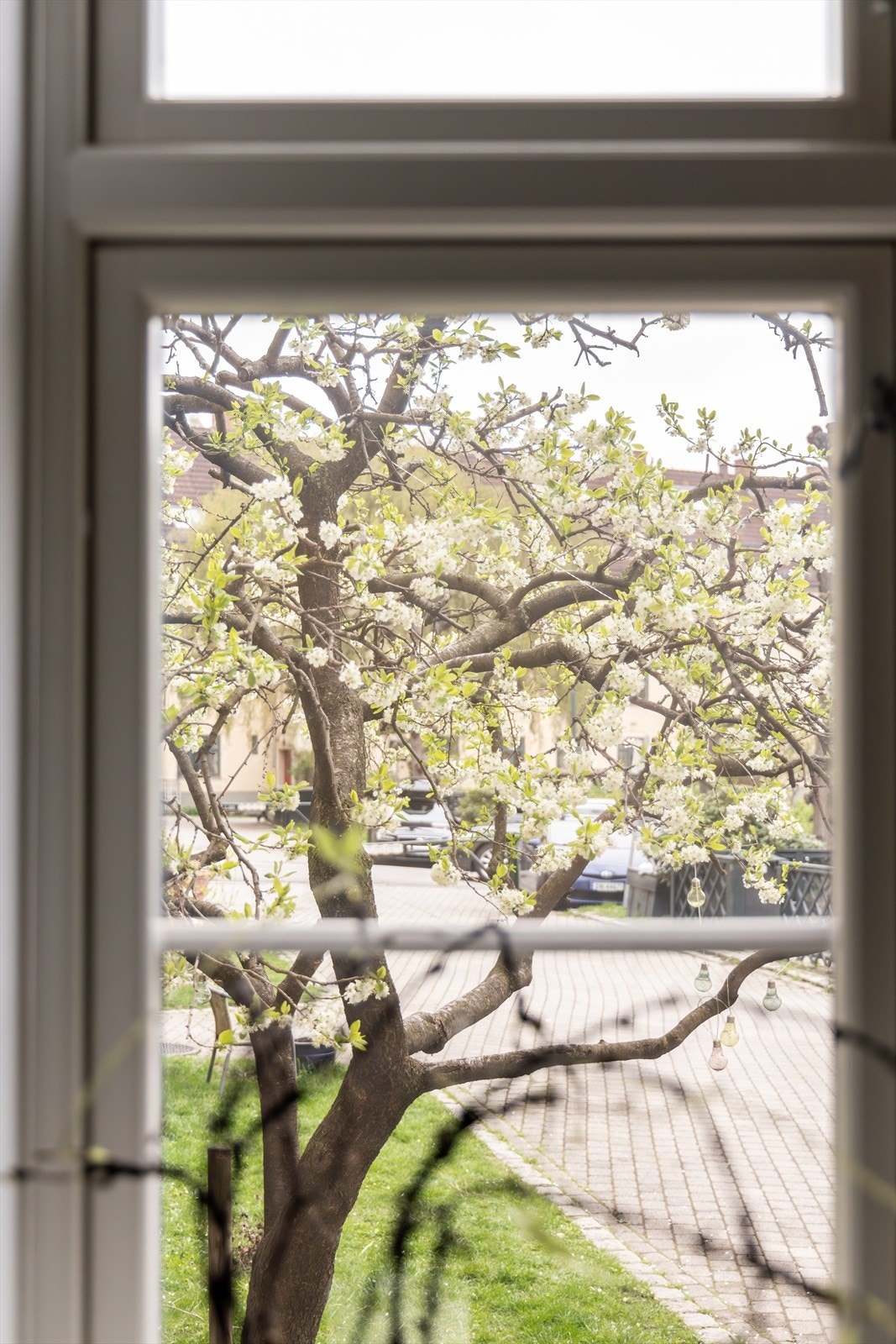 Soverommet vender ut mot den grønne bakgården. Galleribilde