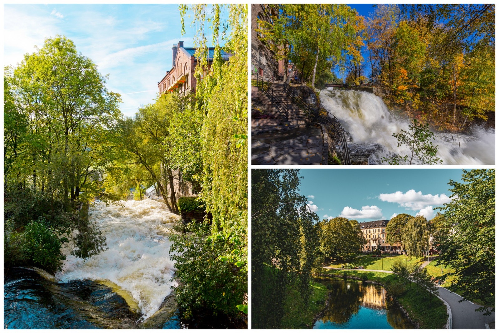 Nærområde. Galleribilde