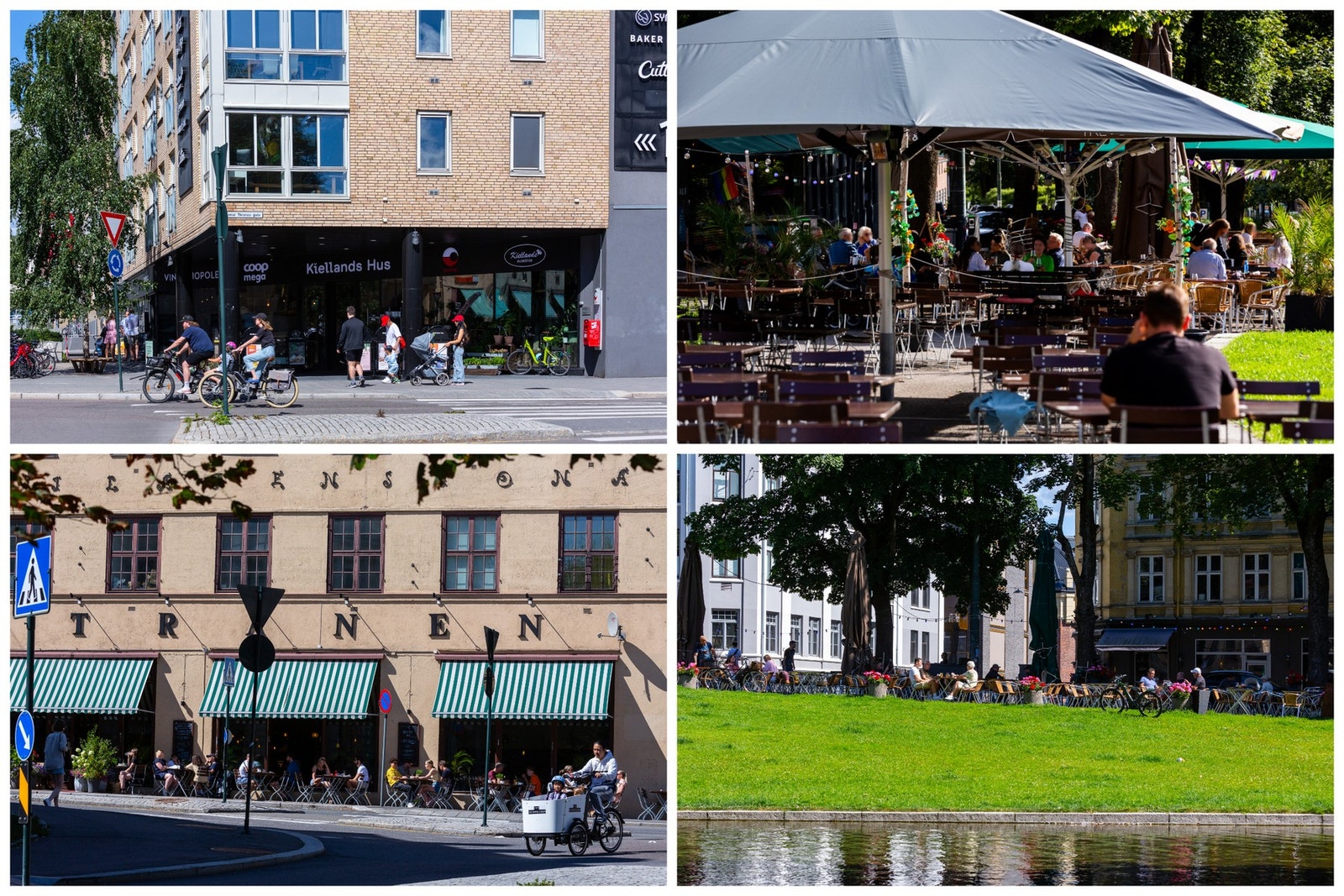 Nærområde. Galleribilde