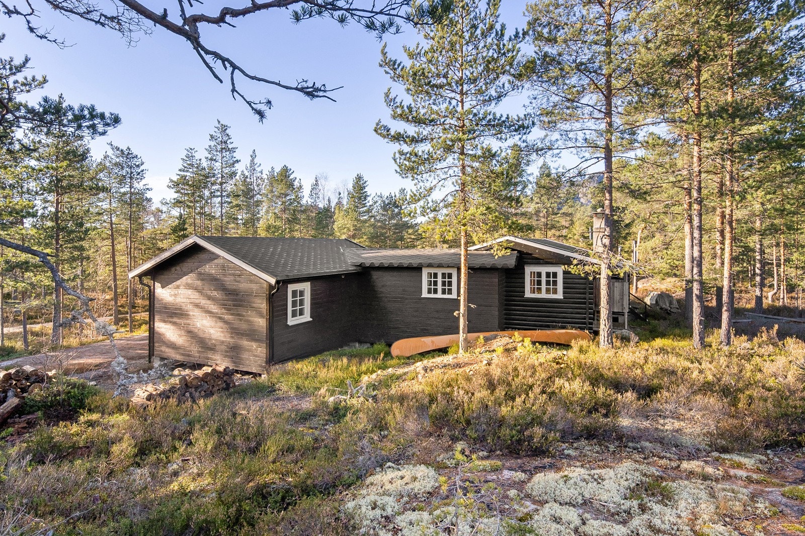 Fra baksiden av hytta Galleribilde