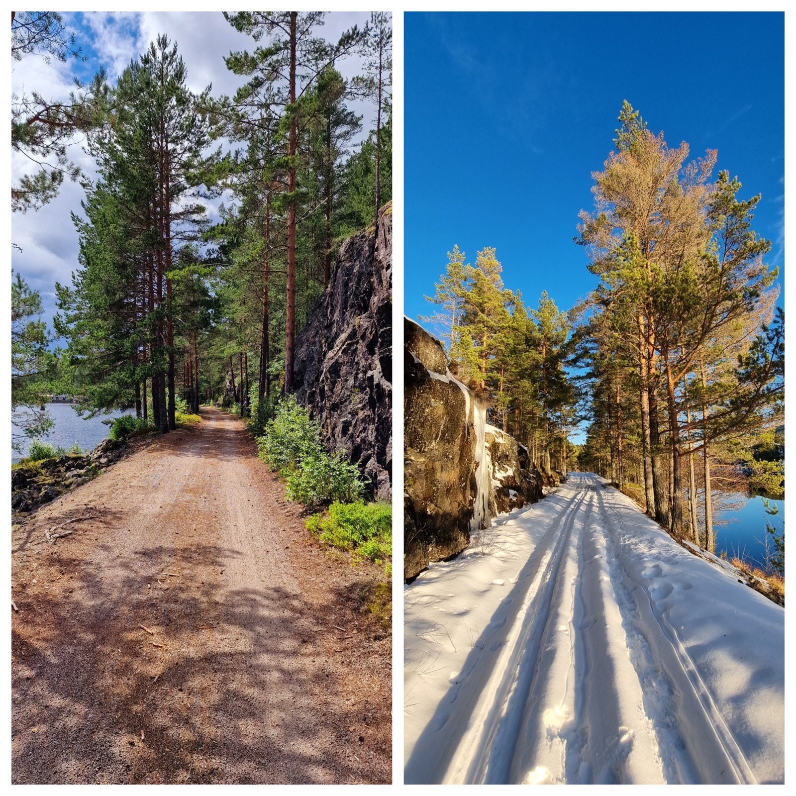 Den gamle togtraseen mellom Treungen og Åmli - sommer og vinter Galleribilde