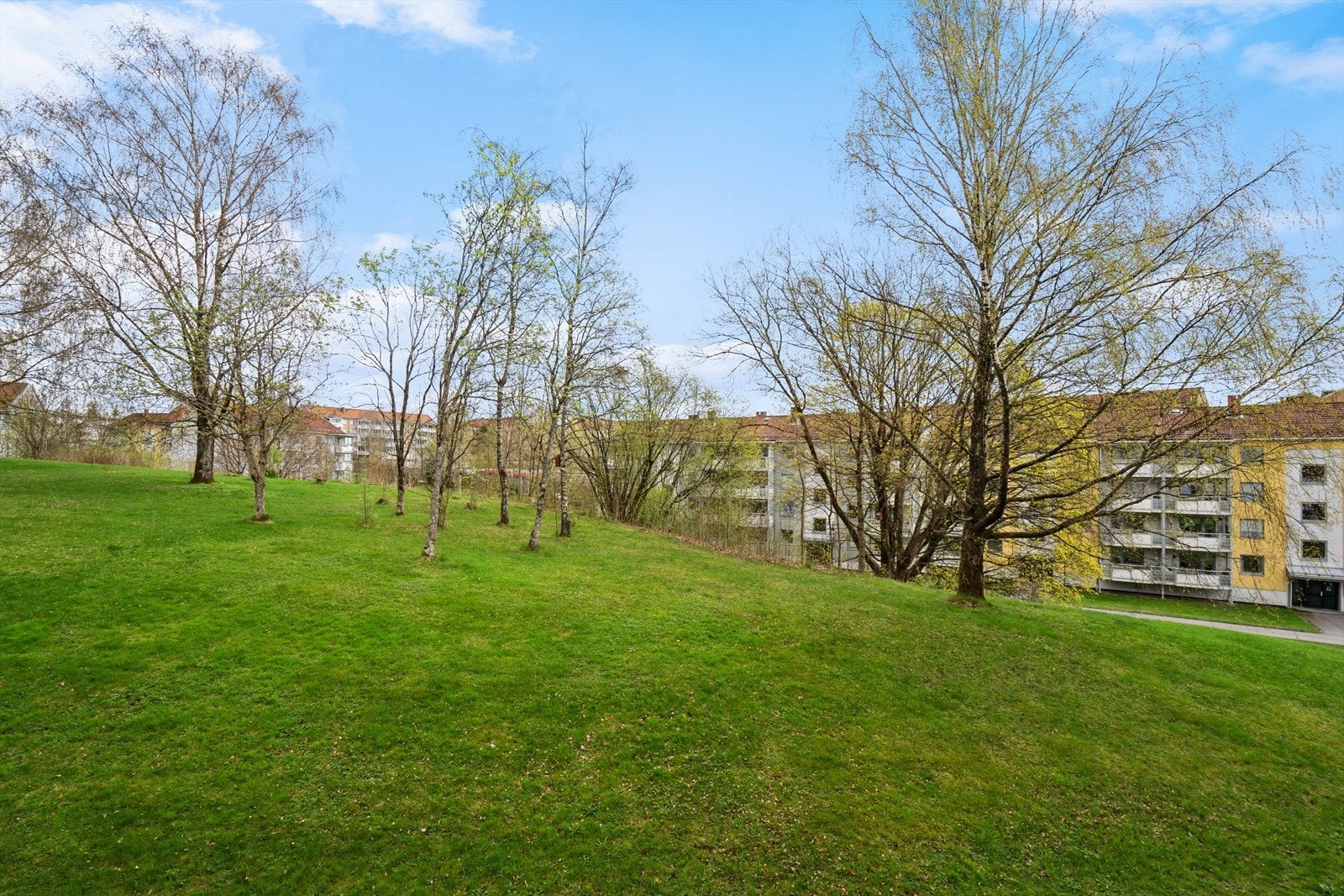 Nydelig utsikt fra kjøkkenvinduet. Galleribilde