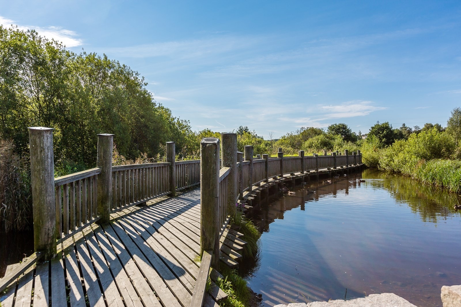 For den som setter pris på naturen, byr området på fantastiske opplevelser. Galleribilde