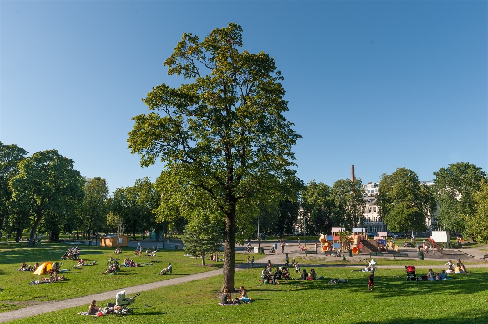 Sofienbergparken er et populært og hyggelig møtepunkt om sommeren, hvor både lokale og besøkende samles for å nyte solen, spille frisbee eller delta i sosiale aktiviteter. Galleribilde
