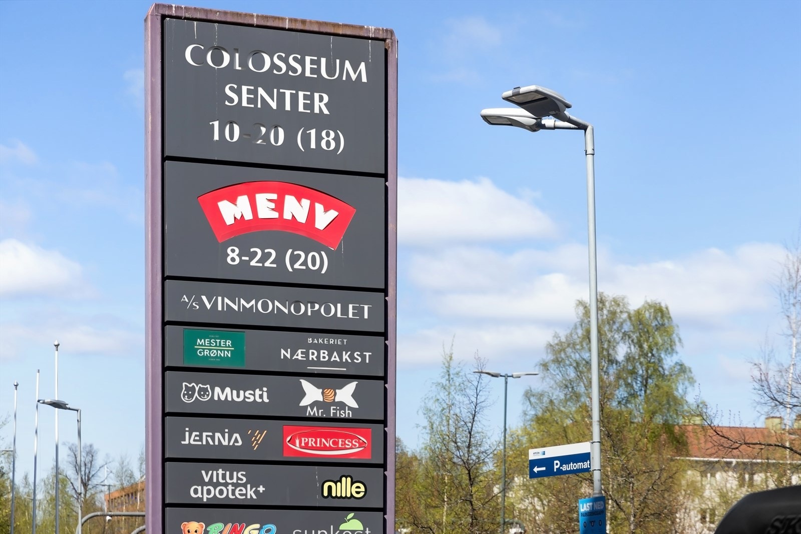 Områdebilde. Galleribilde