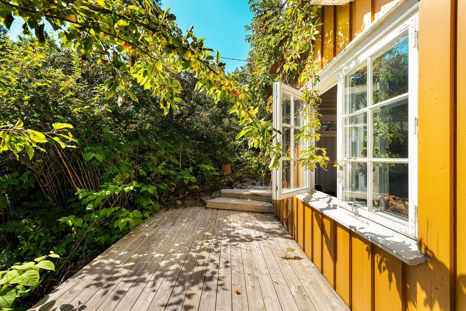 Epler fra egen hage kan i sesong plukkes gjennom stuevinduet. Galleribilde