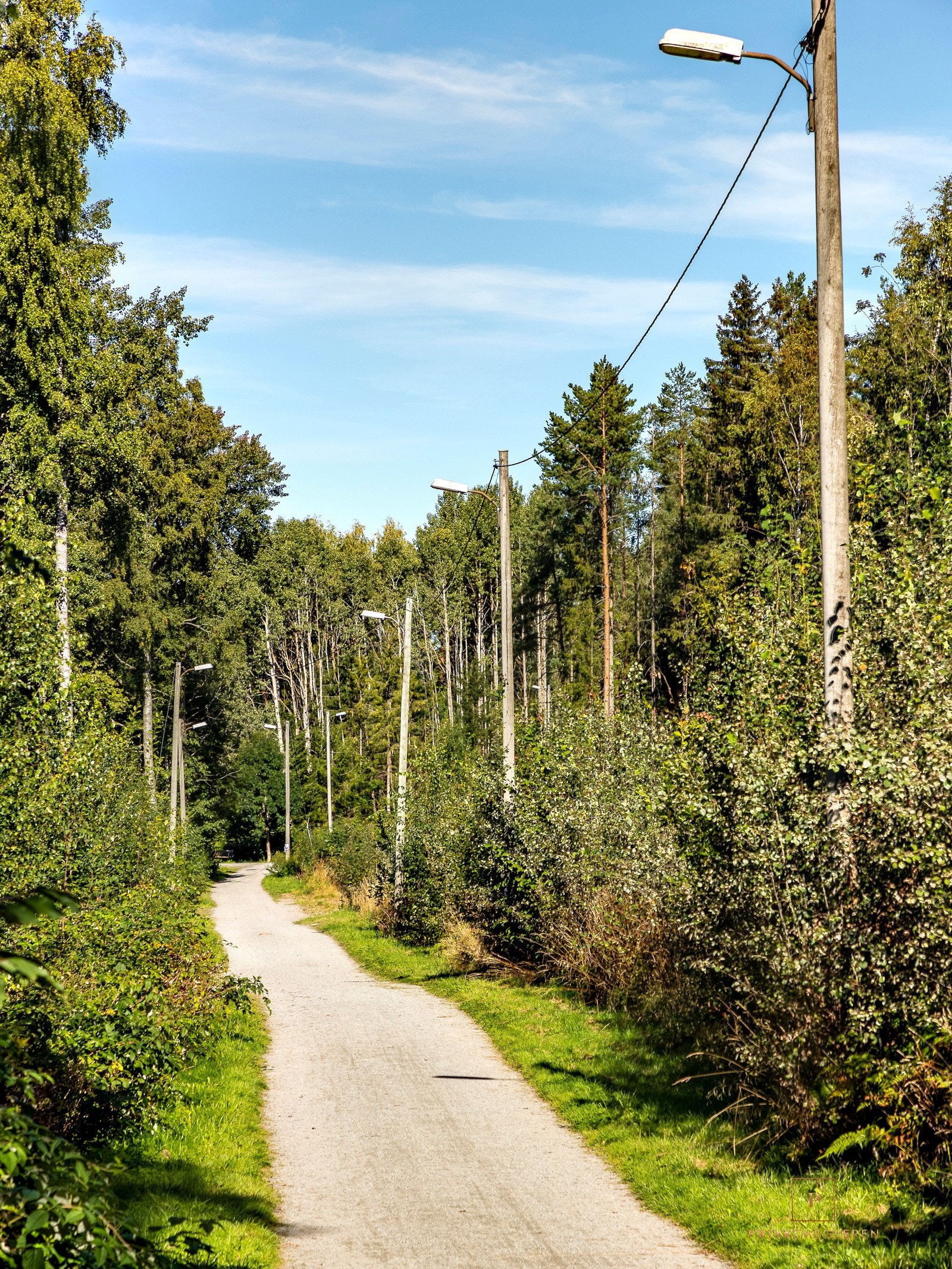 Borettslaget ligger intil markagrensen med flotte turområder. Galleribilde