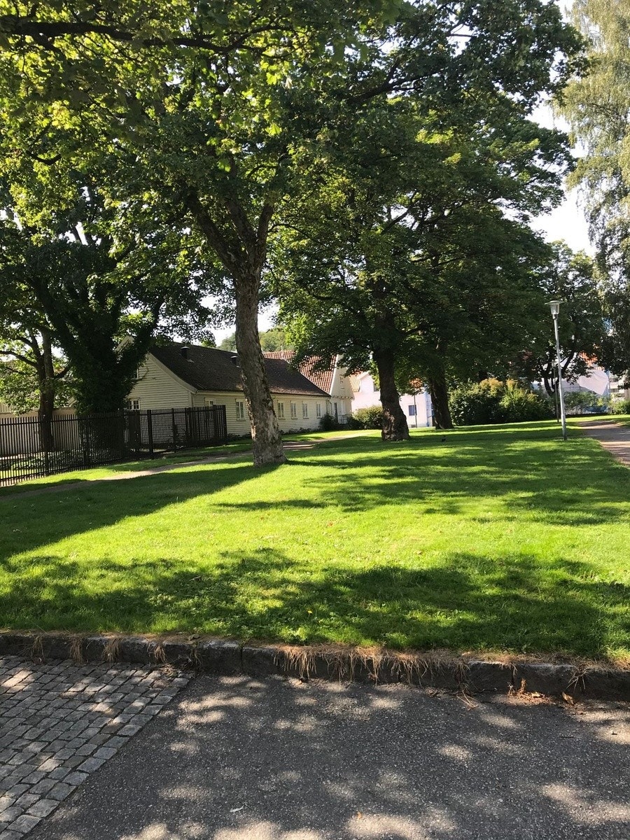 Park rett over gaten Galleribilde