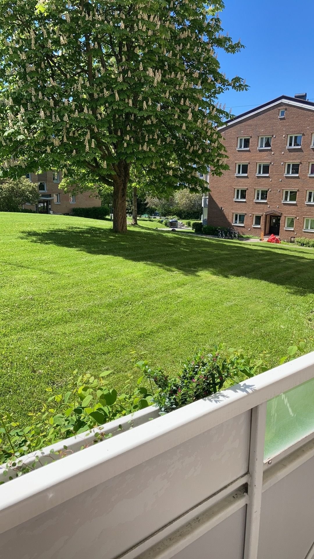 Det er mye grøntområder på Etterstad som gir en god atmosfære. Galleribilde