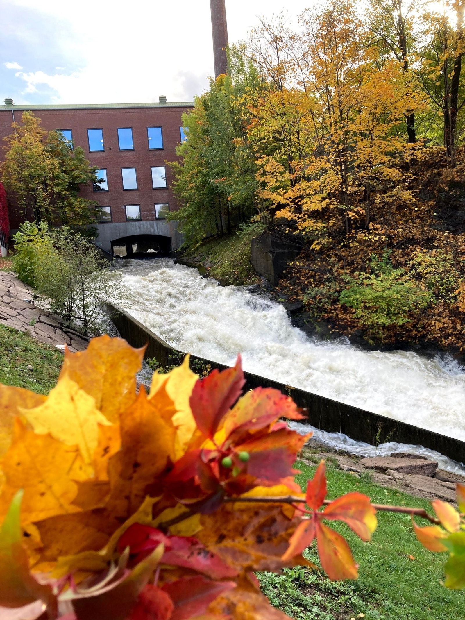 Alnaelva ved Bryn. Galleribilde