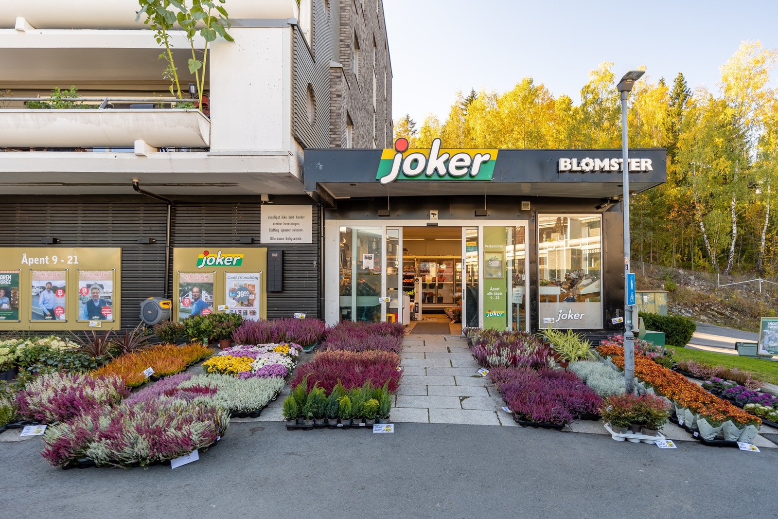 Nærområde. Galleribilde