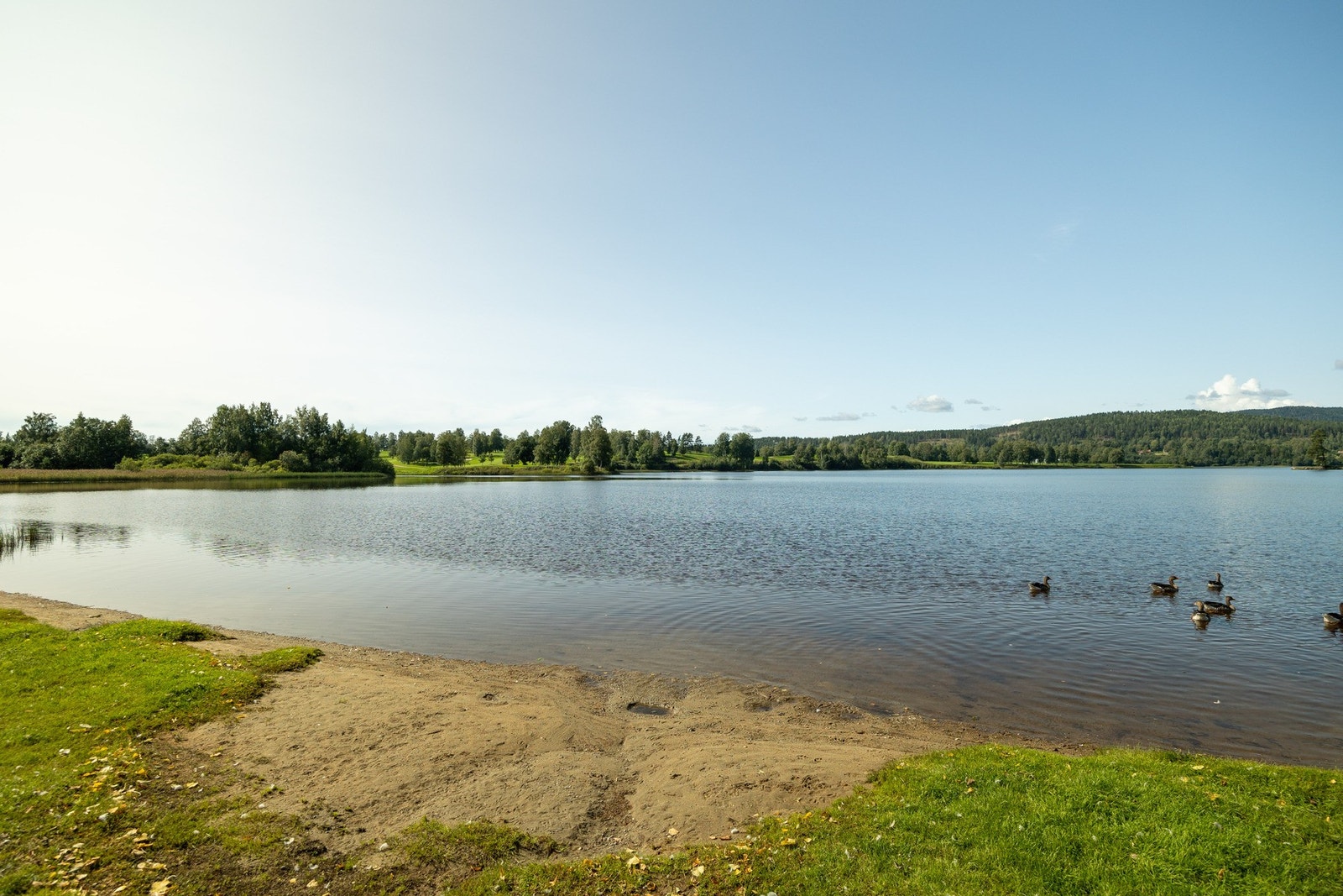 Nærområde. Galleribilde