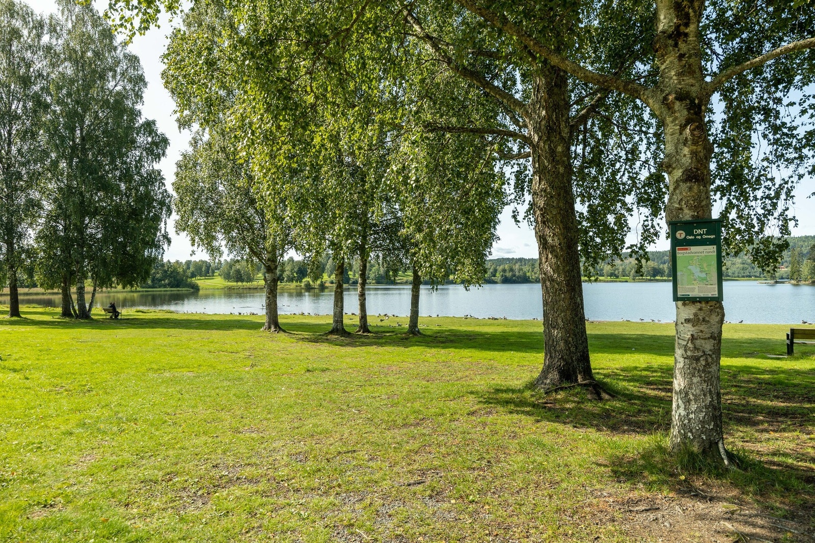 Nærområde. Galleribilde