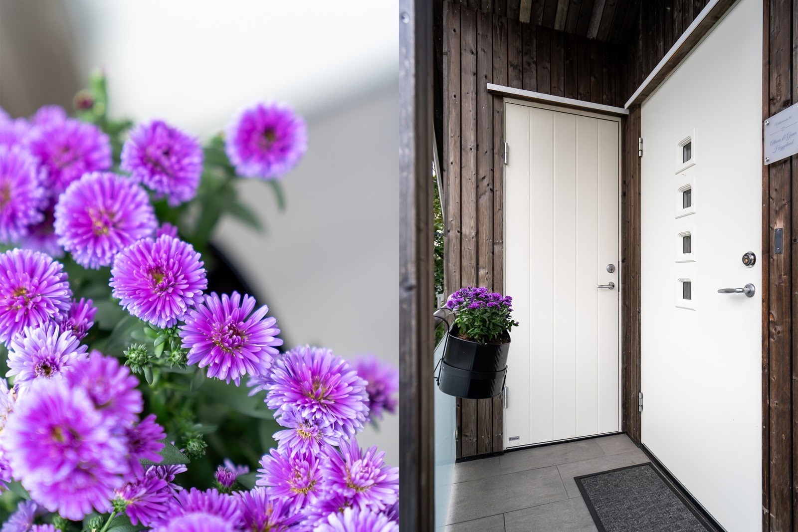 Velkommen! Galleribilde