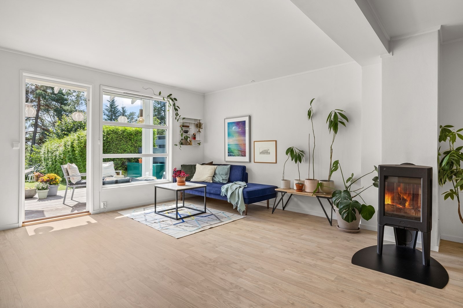 Store vindusflater gir mye lysinnslipp Galleribilde