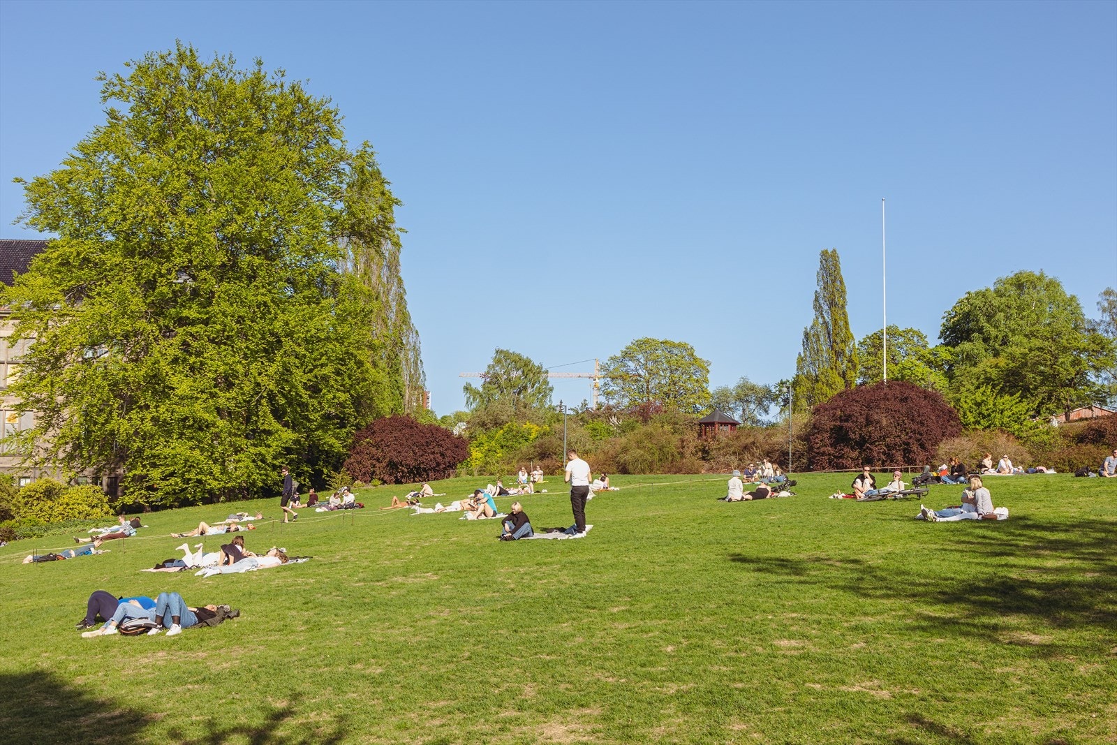 Botanisk hage kan fungere som en ekstra bakgård eller hage i sommerhalvåret. Galleribilde
