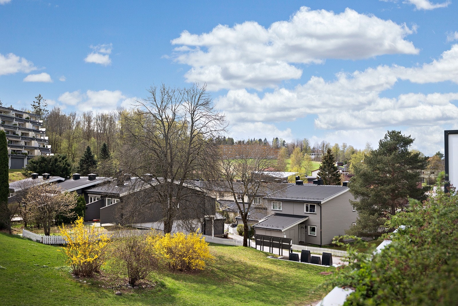 Områdebilde Galleribilde