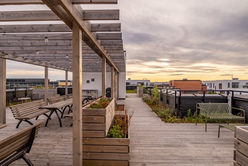 Sommerbilde. Galleribilde