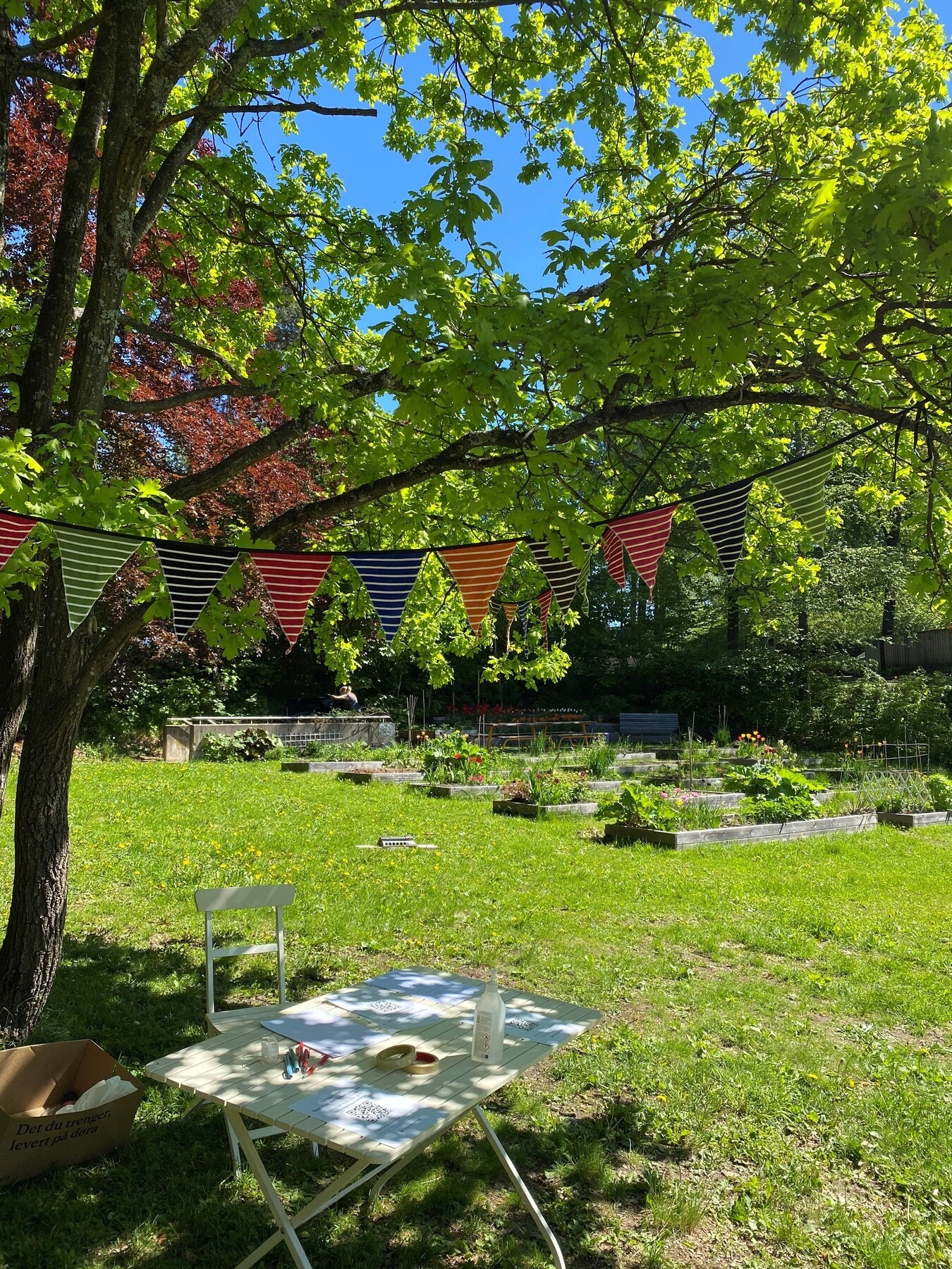 Bursdager og arrangementer i parsellhagen.jpg Galleribilde