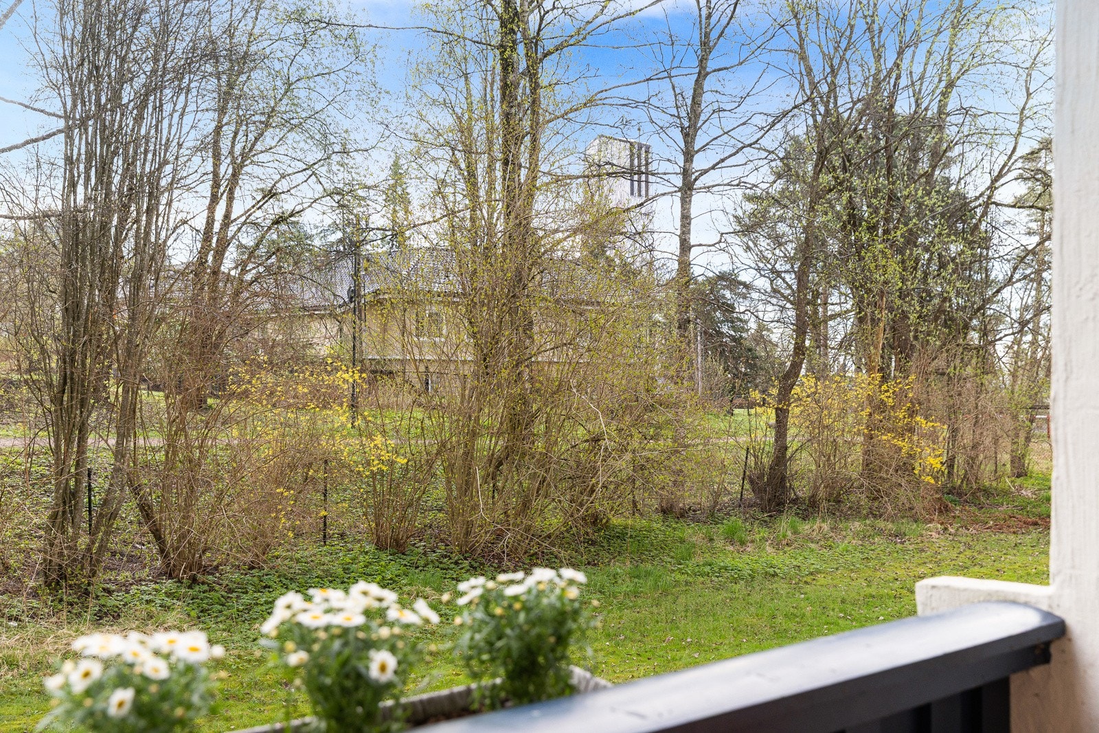 Usjenert utsikt med utsikt mot Markagrensen. Galleribilde