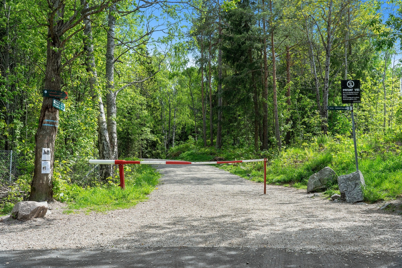 Utallige turmuligheter rett utenfor døren Galleribilde