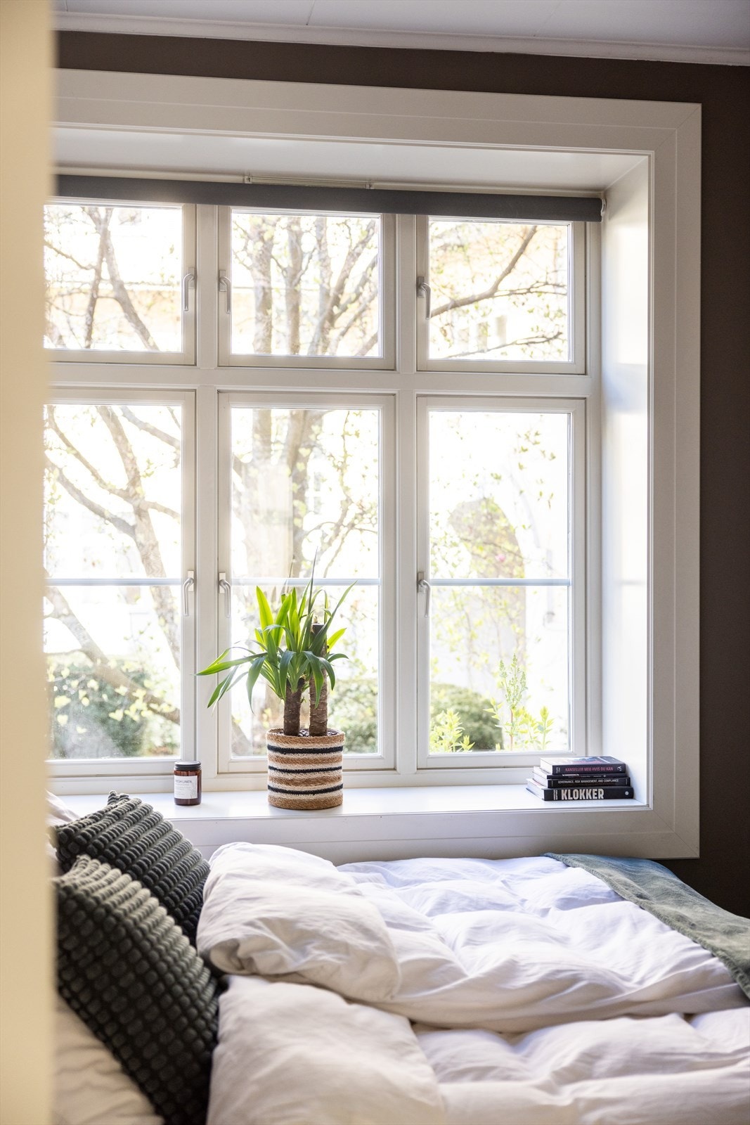 Hyggelig, frodig utsyn mot bakgården. Galleribilde