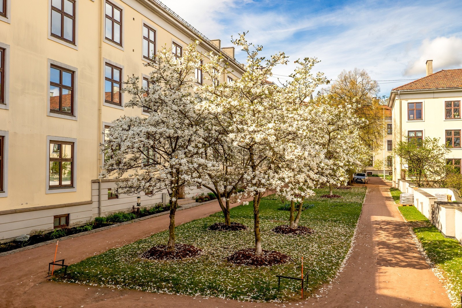 Velkommen til visning! Galleribilde