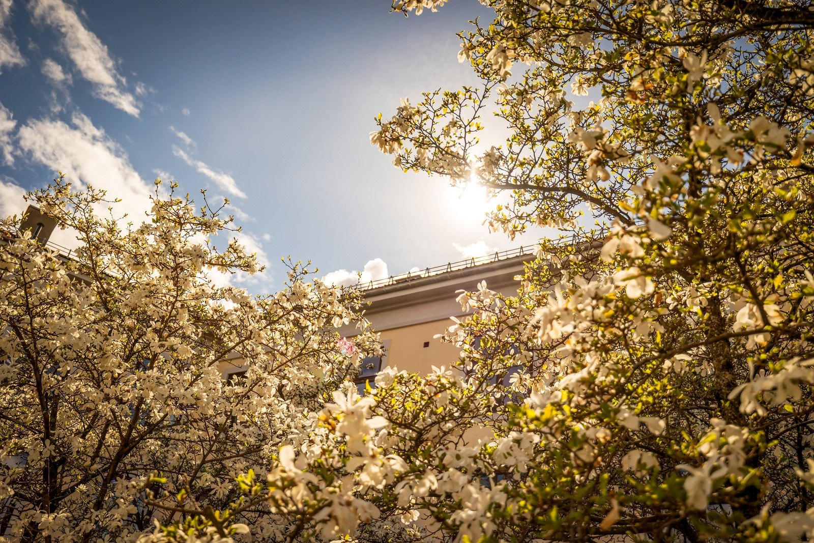 Uteområde Galleribilde