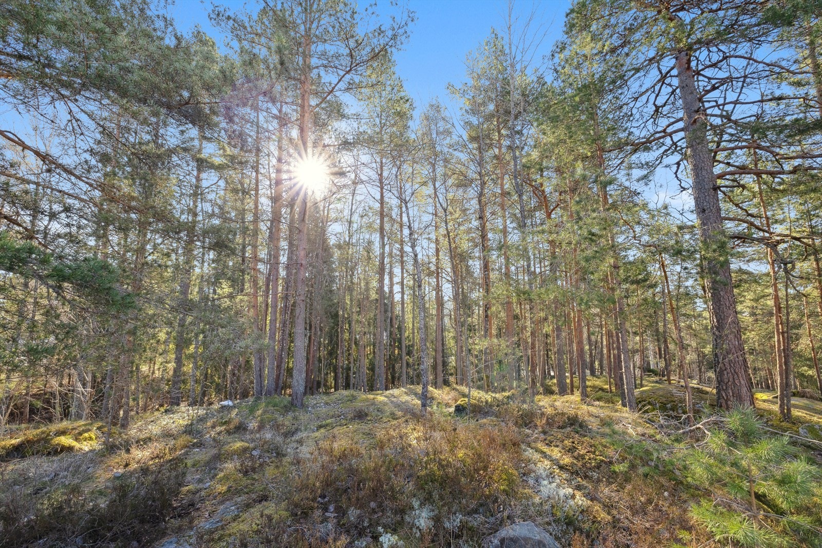 Både sjøen og marka er en kort tur unna, og bydelen strekker seg fra Oslofjorden til Østmarka. Galleribilde