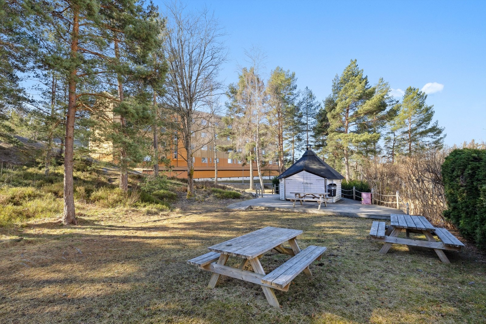 Skogen ligger i umiddelbar nærhet, som byr på fine turstier. Galleribilde