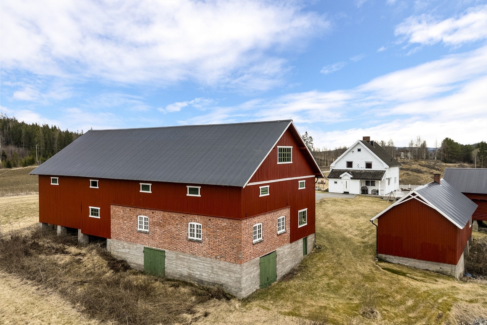 Kjørebrulåve Galleribilde