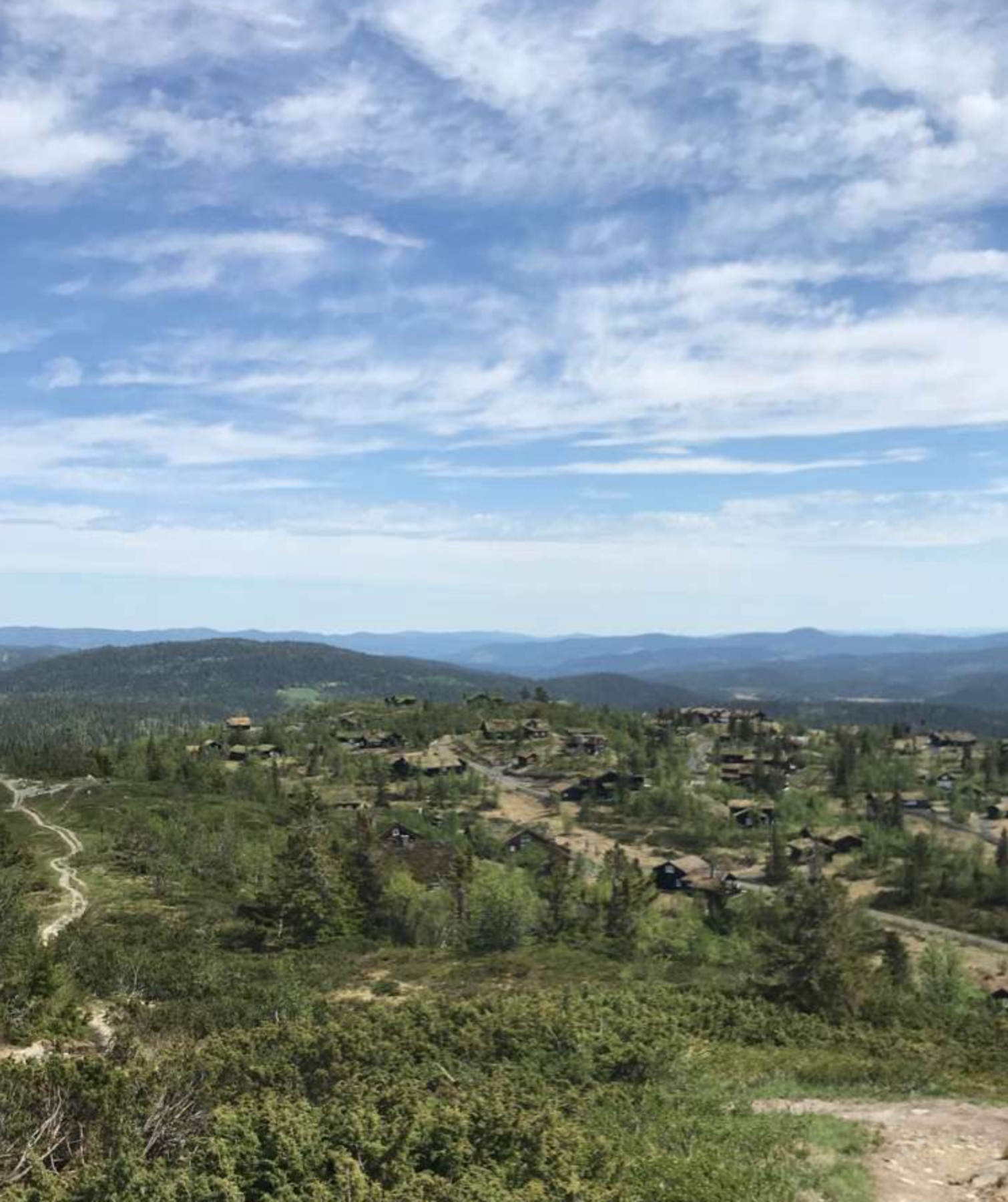 Bilde fra selgers arkiv Galleribilde